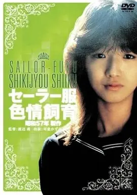 冰原信使海报